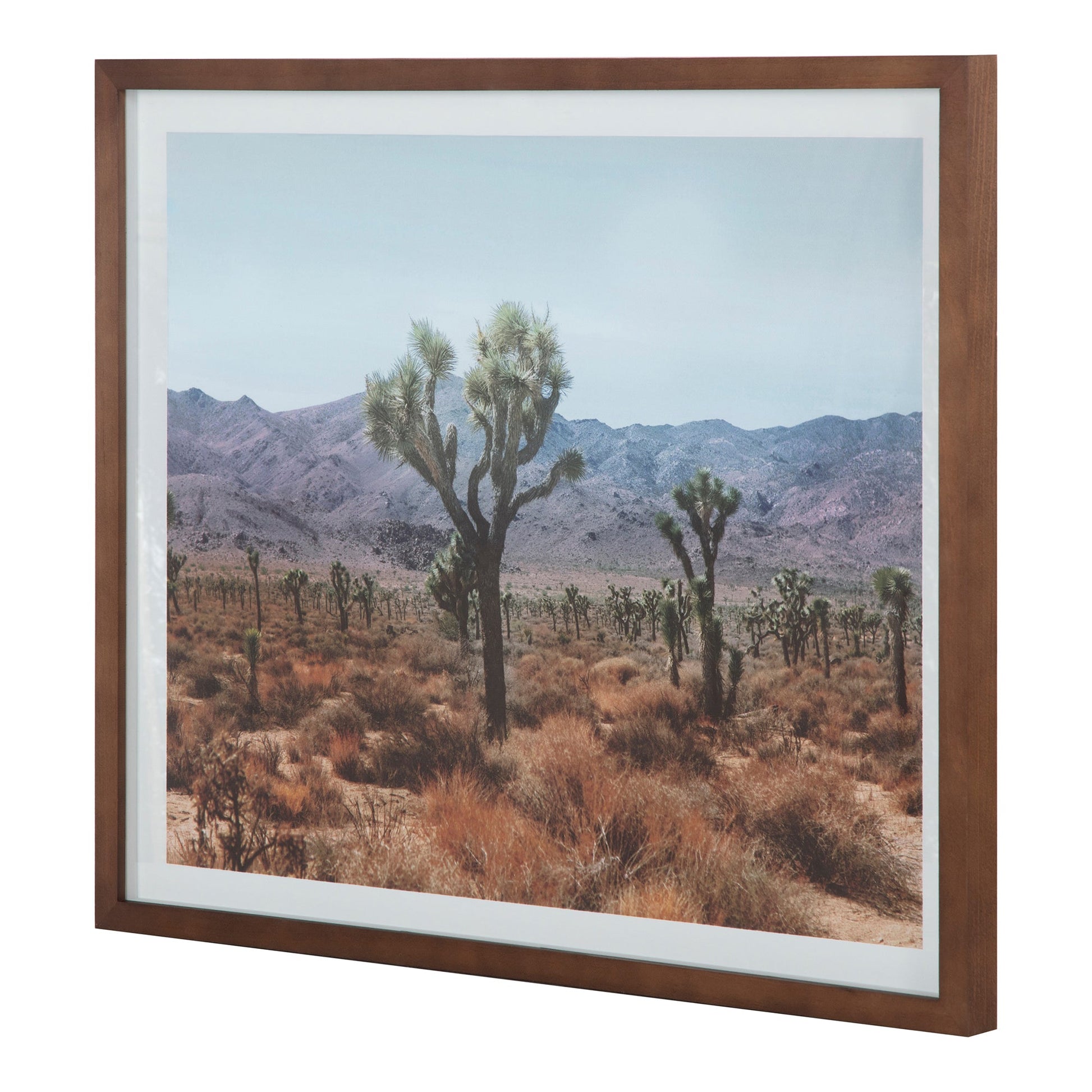 DESERT LAND FRAMED PRINT-1