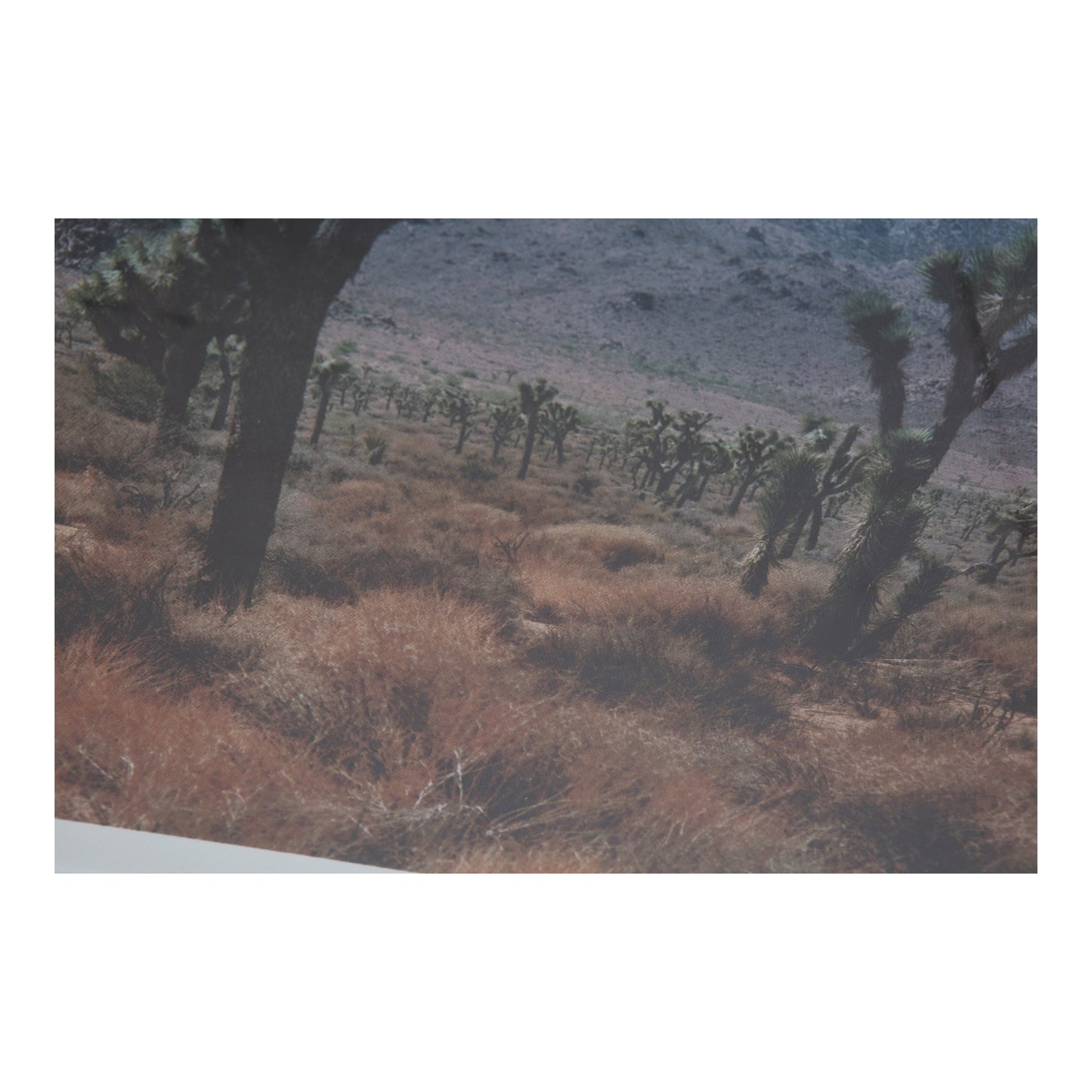 DESERT LAND FRAMED PRINT-2