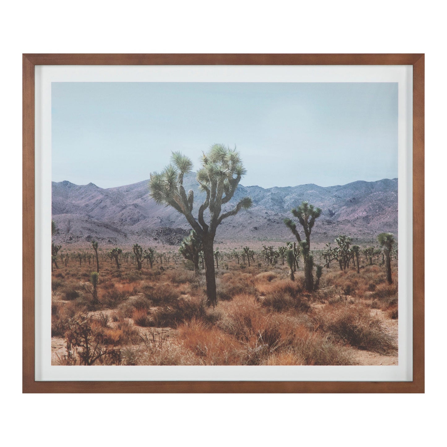 DESERT LAND FRAMED PRINT-0